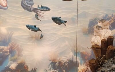 Šesti razredi u Zagrebu