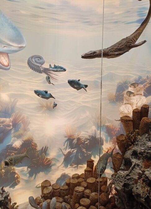 Šesti razredi u Zagrebu