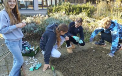 Jesenski radovi u školskom vrtu