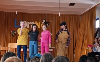 Županijska smotra LiDraNo