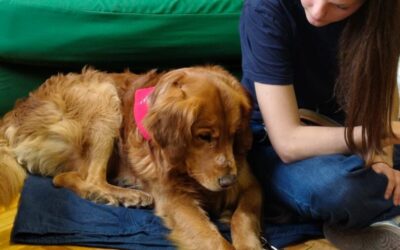 UČENJEM PREMA INKLUZIJI I JEDNAKOSTI